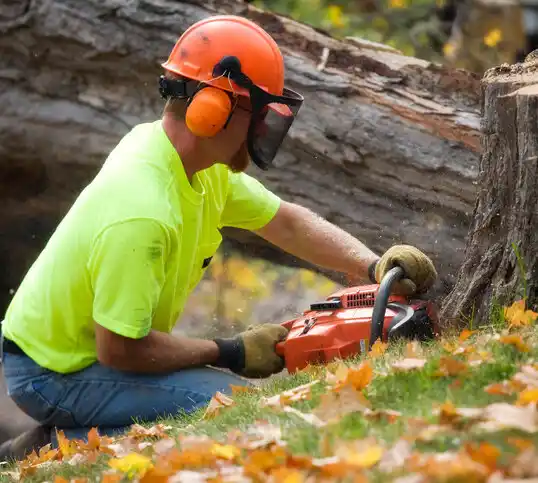 tree services Flemingsburg